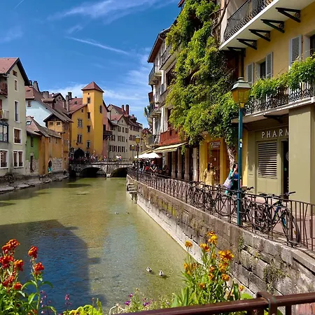 Hysope Annecy